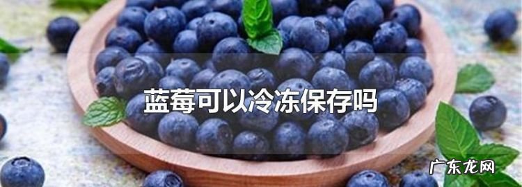 蓝莓怎么保存 冷藏 还是冷冻,新鲜的蓝莓可以冷冻保存