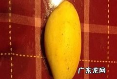 冰杯怎么使用,zoku冰沙杯怎么用