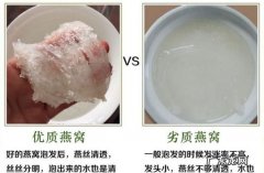 燕窝怎么形成的又是怎样提取的,燕窝怎么形成的又是怎样提取的