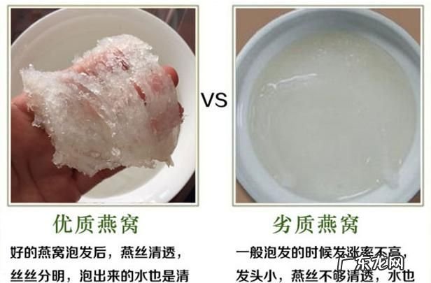 燕窝怎么形成的又是怎样提取的,燕窝怎么形成的又是怎样提取的