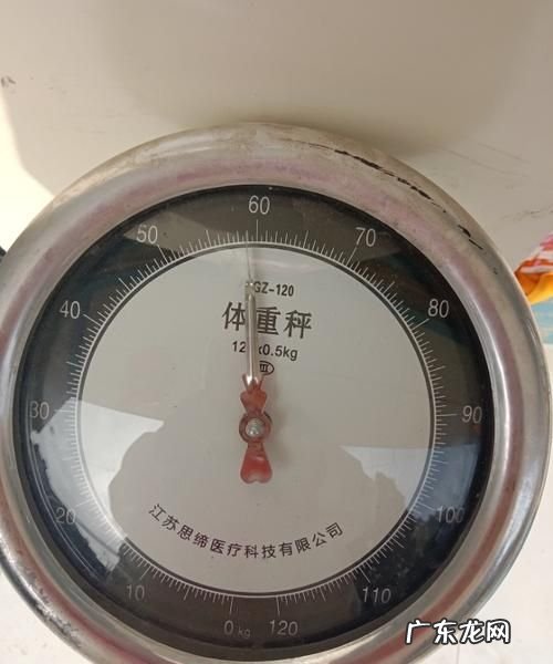 体重写kg是什么意思,体重是kg还是g