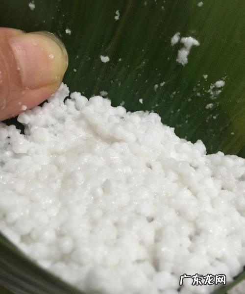 西米包粽子要不要水泡,包西米粽子教程