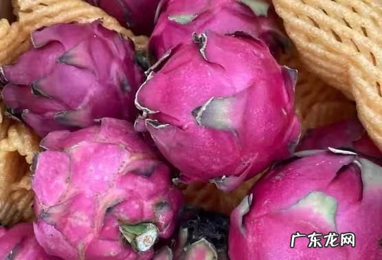 火龙果常温还是冷藏,火龙果放冰箱还是常温保存时间长