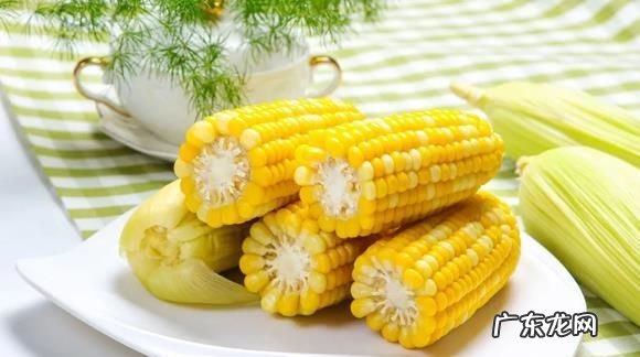 玉米是助消化还是难消化的,玉米助消化还是不易消化