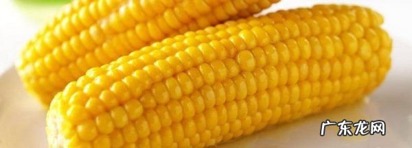 玉米是助消化还是难消化的,玉米助消化还是不易消化