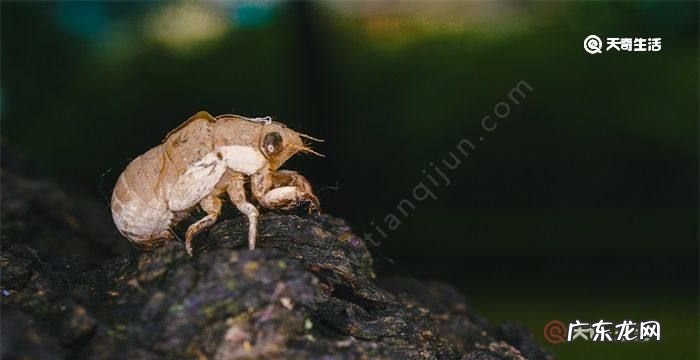 爬叉怎么保存,爬叉怎么保存最好