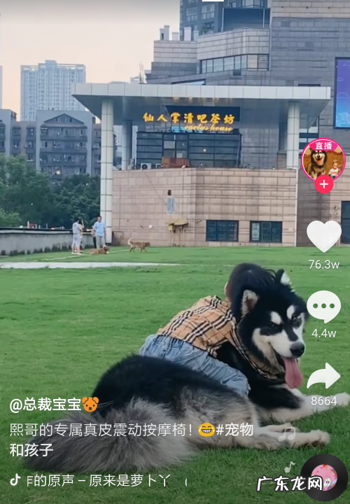 抖音手机号丢了怎么改,抖音如何更换封面