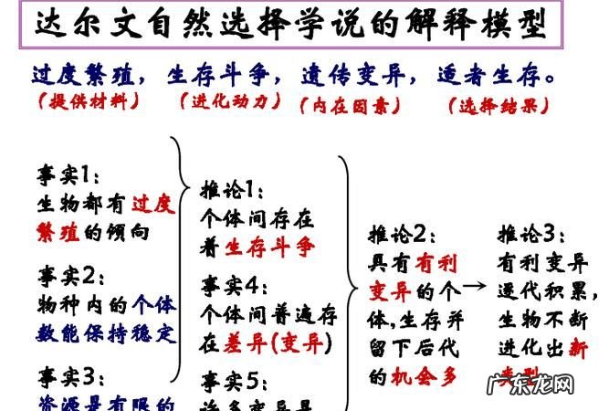 人工选择和自然选择的区别,什么是自然选择什么是人工选择它们之间有什么区别和联系