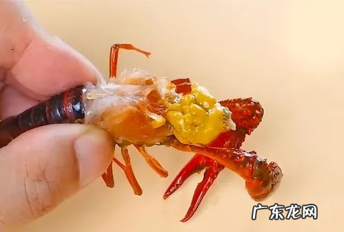 小龙虾里的黄能不能吃,龙虾黄色部分能吃
