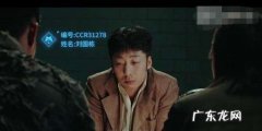 动物管理局朱雀是什么纲目,动物管理局朱雀是什么级别的妖怪