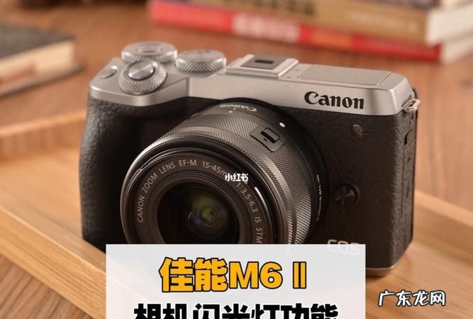 单反怎么样关闭闪光灯,佳能80D单反相机参数