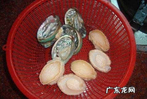 鲍鱼怎么煲汤好吃,鲍鱼炖汤的做法有哪几种窍门