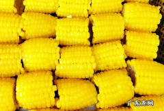玉米一般蒸多久就可以了,玉米要蒸几分钟才熟透