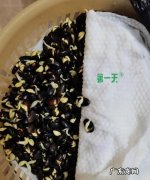 家庭怎样发黑豆芽,怎样泡黑豆芽的做法大全