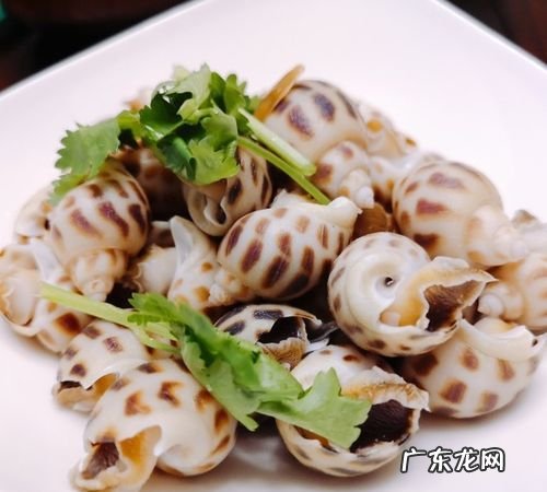 白灼花螺冷水还是热水煮,花螺是冷水下锅还是热水下锅煮
