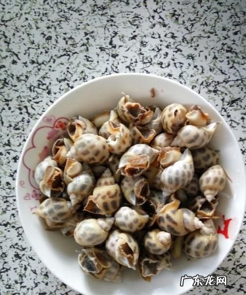 白灼花螺冷水还是热水煮,花螺是冷水下锅还是热水下锅煮