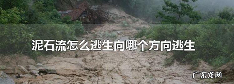 遇到泥石流正确的做法是往哪里跑,泥石流怎么逃生向哪个方向逃生地理