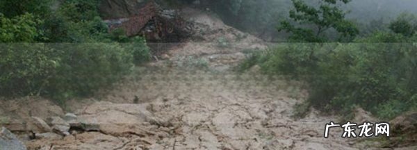 遇到泥石流正确的做法是往哪里跑,泥石流怎么逃生向哪个方向逃生地理