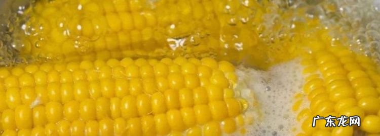 煮熟的玉米能放多久,煮熟的玉米能放多久 常温