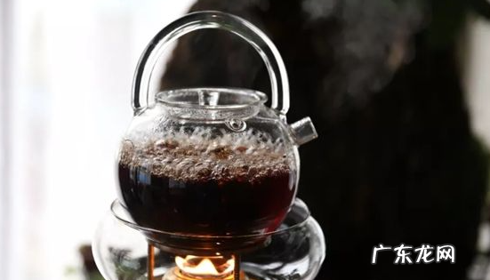 煮茶器适合煮什么茶,适合煮的茶叶有哪些