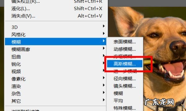 photoshop高斯模糊在哪里,PS软件的高斯模糊滤镜怎么使用PS高斯模糊滤镜的使用教程