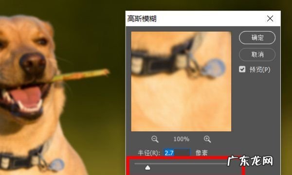photoshop高斯模糊在哪里,PS软件的高斯模糊滤镜怎么使用PS高斯模糊滤镜的使用教程