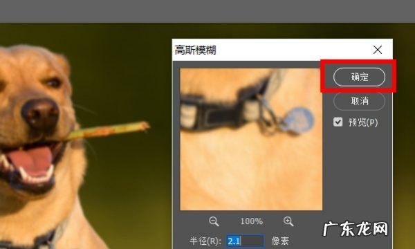 photoshop高斯模糊在哪里,PS软件的高斯模糊滤镜怎么使用PS高斯模糊滤镜的使用教程