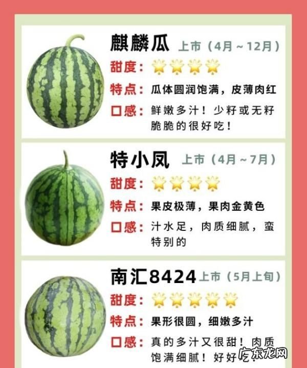 富硒西瓜和普通西瓜区别,仁风富硒西瓜能放多久