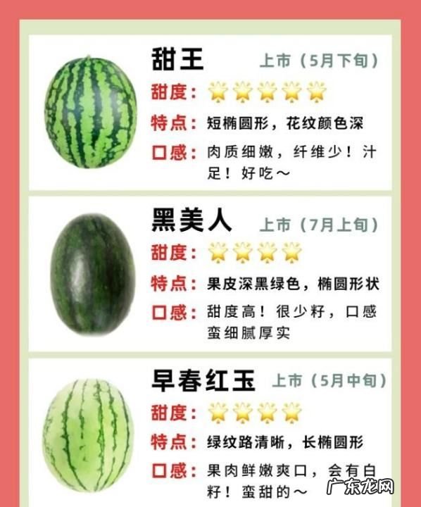 富硒西瓜和普通西瓜区别,仁风富硒西瓜能放多久