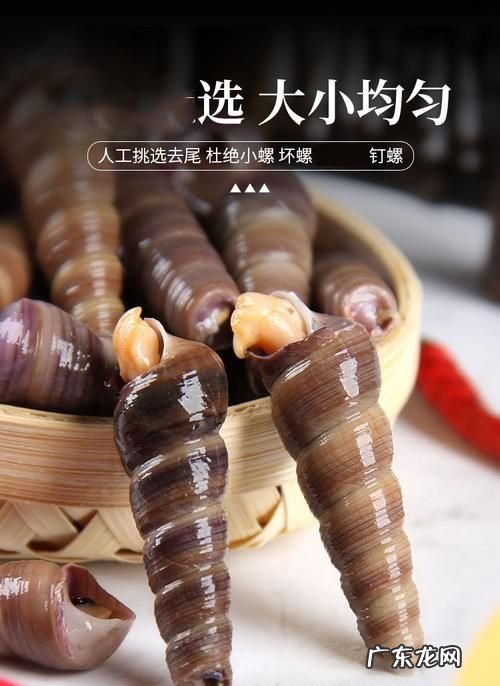 市面上的钉螺能吃,钉螺能吃的部分