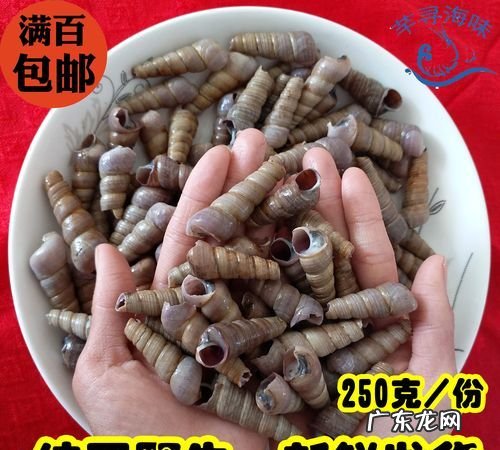 市面上的钉螺能吃,钉螺能吃的部分