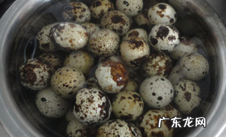 鹌鹑蛋煮多久熟,鹌鹑蛋要煮多久