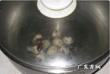 鹌鹑蛋煮多久熟,鹌鹑蛋要煮多久