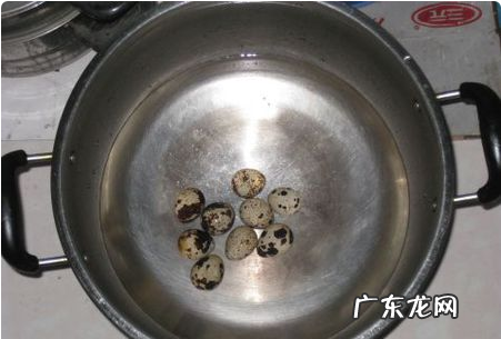 鹌鹑蛋煮多久熟,鹌鹑蛋要煮多久