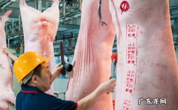 印章是有害垃圾吗?,儿童玩具印章有毒