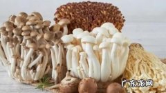 新鲜蘑菇放冰箱冷藏能放几天,蘑菇类放冰箱可以放多久