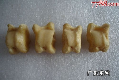 东北嘎拉哈是什么意思,嘎拉哈东北话什么意思
