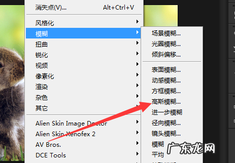 ps里高斯模糊在哪里,ps高斯模糊怎么用来磨皮