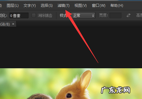 ps里高斯模糊在哪里,ps高斯模糊怎么用来磨皮
