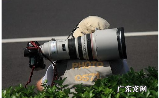 为什么说单反毁一生,俗话说:外行看热闹 为什么说摄影穷三代单反毁一生