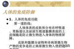 人体三大屏障分别是,人体内有几个屏障分别是什么