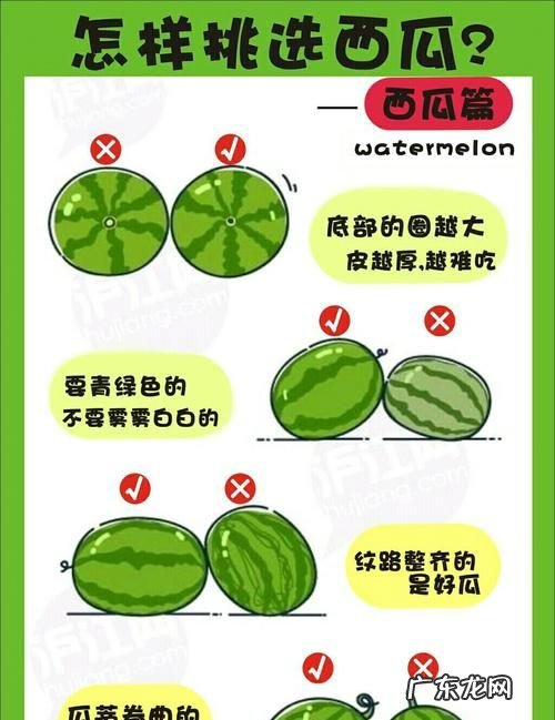 如何储存西瓜4个月,西瓜存放3个月不烂