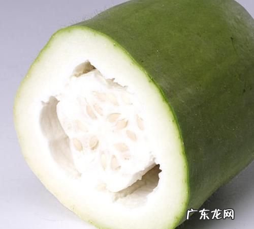 米冬瓜和冬瓜的区别,冬瓜排骨汤要放什么配料