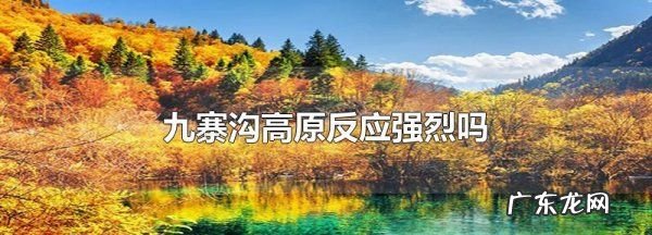 九寨沟会有高反,黄龙九寨沟高反严重西北老年人
