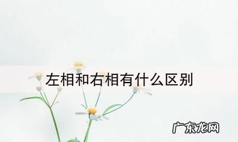 左相和右相哪一个官大,左丞相大还是右丞相大还是中丞大