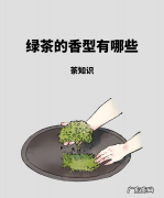 绿茶常见的香气类型有哪些,绿茶最典型的香气类型为