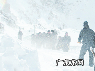 雪灾有哪些危害,雪灾有哪些危害 雪灾都有哪些种类