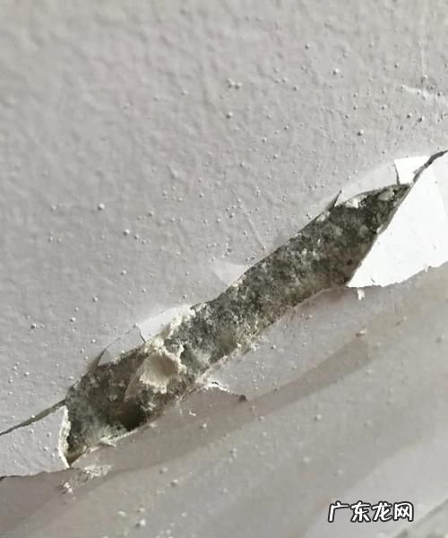 墙皮掉了一小块小妙招,墙皮脱落修补妙招