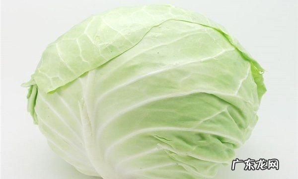 涮菜都有什么菜,自己在家做火锅怎么做好吃