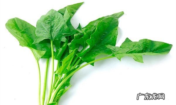 涮菜都有什么菜,自己在家做火锅怎么做好吃
